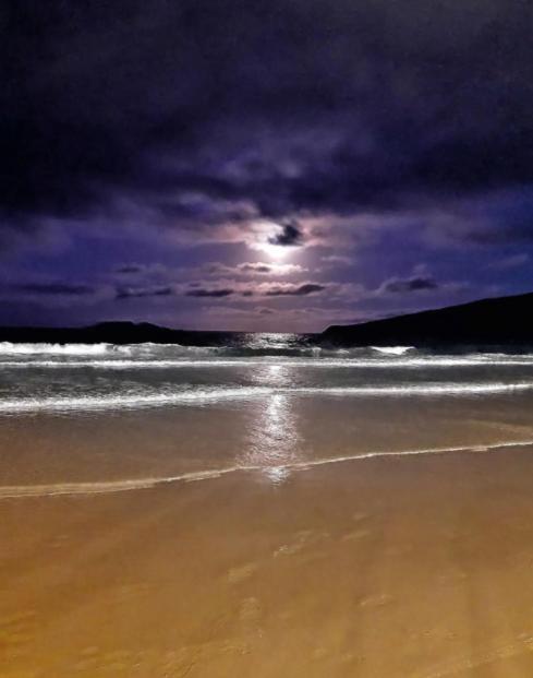Apartamento Aconchegante A 200 Metros Da Praia Florianópolis المظهر الخارجي الصورة